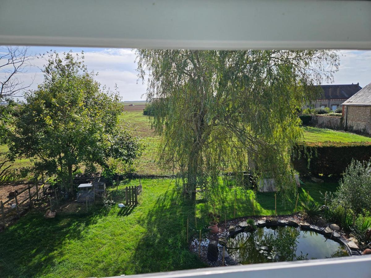 Au Nid Des Champs, Agreable Chambre D'Hotes, Proche De Chartres Dammarie  Exterior photo